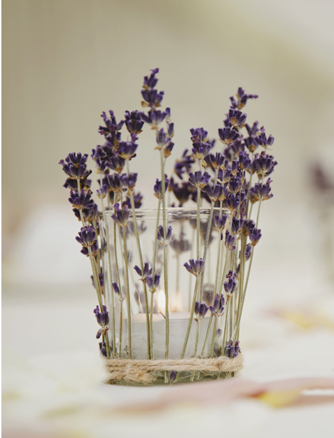 Stephanie Saunders Luxury Floral Design, Hannah and Adam's wedding, Gemma Williams, Birtsmorton Court